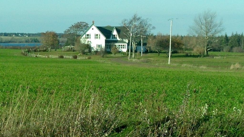 Lovely Green Gable Home Miscouche Exterior foto